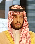 Miniatura per Purga de l'Aràbia Saudita de 2017