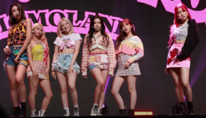 Momoland Pronto o non vetrina 201117.png