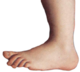 Il piede simbolo dei Monty Python
