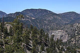 <span class="mw-page-title-main">Mount Waterman</span> Ski resort in southern California, United States