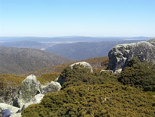 <span class="mw-page-title-main">Brindabella Range</span> Mountain range located in Australia