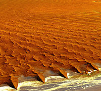 Vue aérienne des dunes du désert du Namib, les plus hautes du monde.