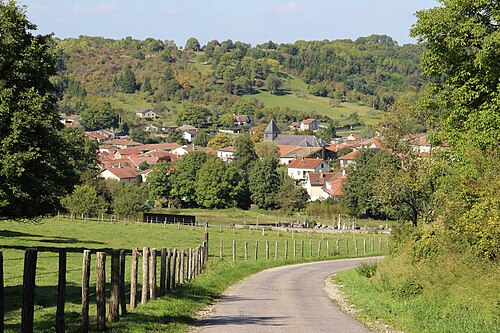 Plombier Naives-Rosières (55000)