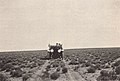 Een reiziger op de National Old Trails Road rond 1915 in Arizona. Dit spoor zou later onderdeel worden van Route 66.