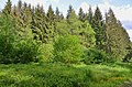 Naturdenkmal Lochenhof