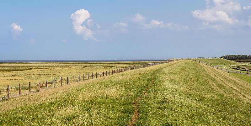 File:Nieuwe Zeedijk Holwerd. 21-08-2023. (actm.) 03.jpg