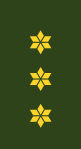 Nederländska armén