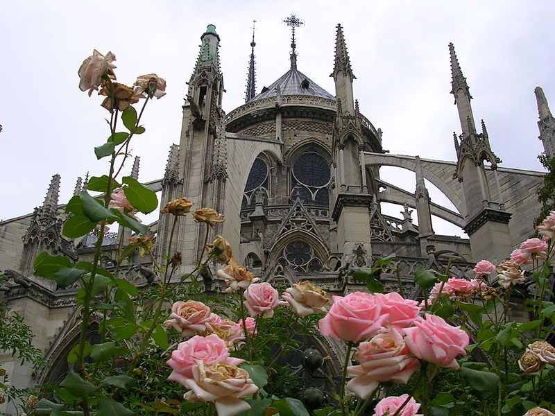 File:Notre Dame Cathedral from gardens of Sq Jean XXIII.JPG