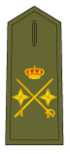 General de Divisão