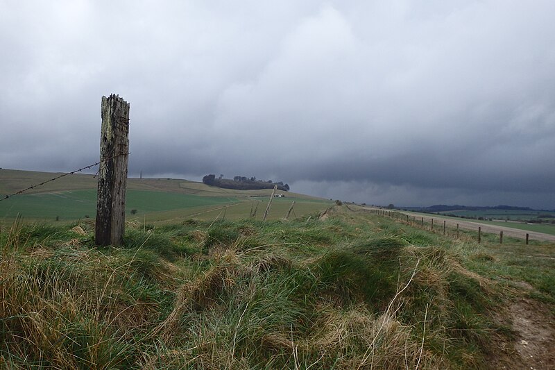 File:On The Wessex Ridgeway - geograph.org.uk - 4900961.jpg