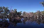 Vorschaubild für Fortescue River