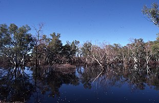 Liste Der Flüsse In Australien: Wikimedia-Liste