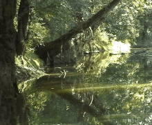 Dosiero:Original_proved_river_Olšava_behind_Uherský_Brod_2.gif