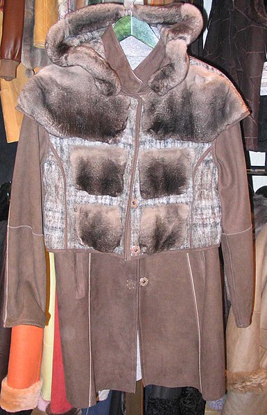 File:Orylag jacket (rex rabbit), 2013.jpg