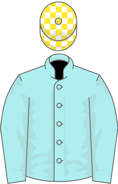 File:Owner Ballymacoll Stud.svg