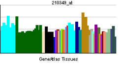 PBB GE CAMK4 210349 در tn.png