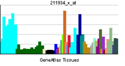 PBB GE GANAB 211934 x ĉe tn.png