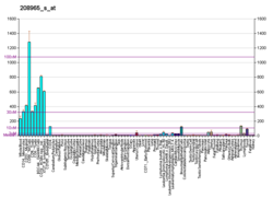 PBB GE IFI16 208965 s fs.png'de