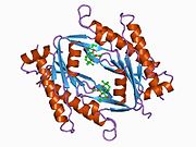 PDB 1ab8 EBI.jpg