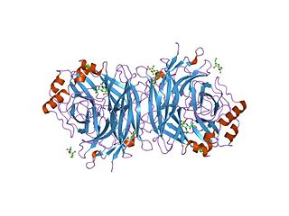 <span class="mw-page-title-main">Hemagglutinin-neuraminidase</span>