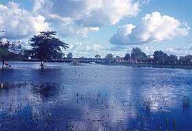 Pantanal i den våte årstiden