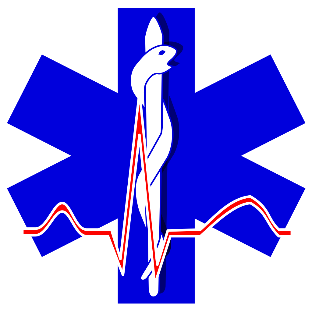 Download File Paramedic Cross 01 Svg Wikimedia Commons
