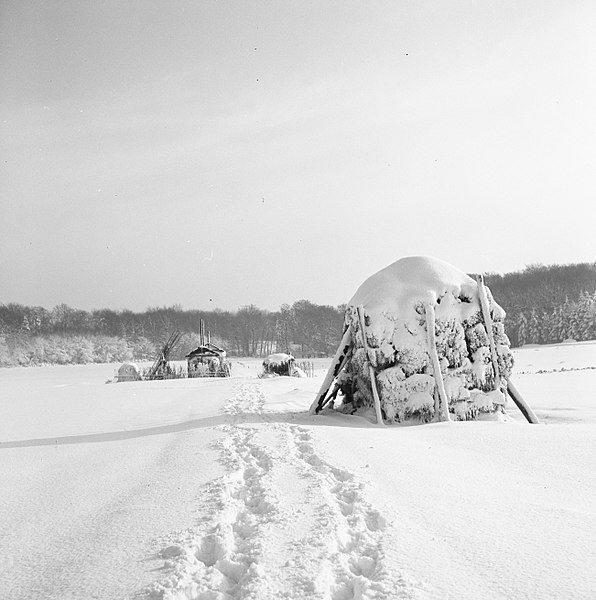 File:Park Zijpendaal in de winter Hooimijten onder een dikke sneeuwlaag, Bestanddeelnr 162-1286.jpg