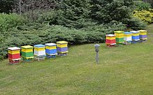 An apiary in Warsaw, Poland. Pasieka kompleks budynkow Sejmu i Senatu 2015.JPG