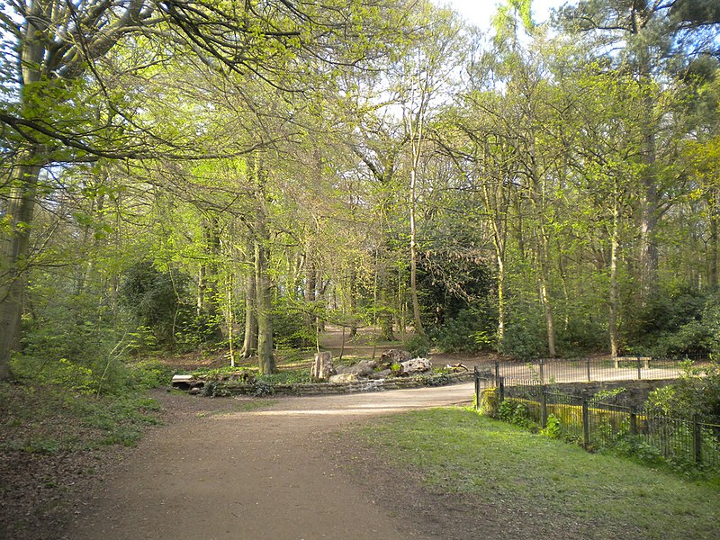 File:Path towards Ram Wood, Roundhay Park (geograph 5435436).jpg