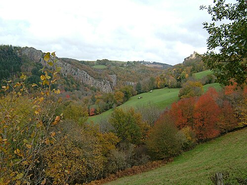 Rideau métallique Paulinet (81250)