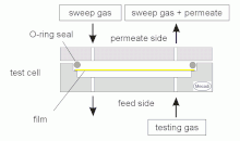 Permeation measurement with sweep gas Permeation sweep gas.gif