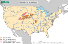 The distribution of the plains topminnow in the United States Plains Topminnow Distribution.png