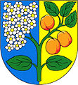 Wappen von Prackovice nad Labem