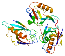 Ақуыз DVL2 PDB 1l6o.png