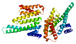 Протеин YWHAB PDB 2bq0.png