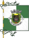 Flagge des Concelhos Monforte