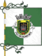 Flagge des Concelhos Marvão