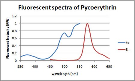 Absorption (or extinction) and fluorescent (or emission) spectra of phycoerythrin Pycoerythrin spectra.jpg