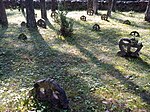 Rõngasristid Vormsi kalmistul.jpg