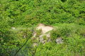 English: Růžičkův lom (Růžička's Quarry), paleontological site and national natural monument north of Čelechovice na Hané. Čeština: Růžičkův lom, národní přírodní památka, severně od Čelechovic na Hané.