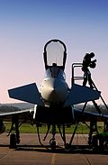 A QRA pilot at RAF Leuchars in October 2010 RAF Pilot Exiting Aircraft MOD 45157166.jpg