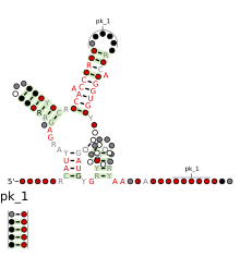 SAM–SAH riboswitch - Wikipedia