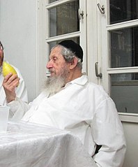 Rabbi Dov Landau inspecting an etrog