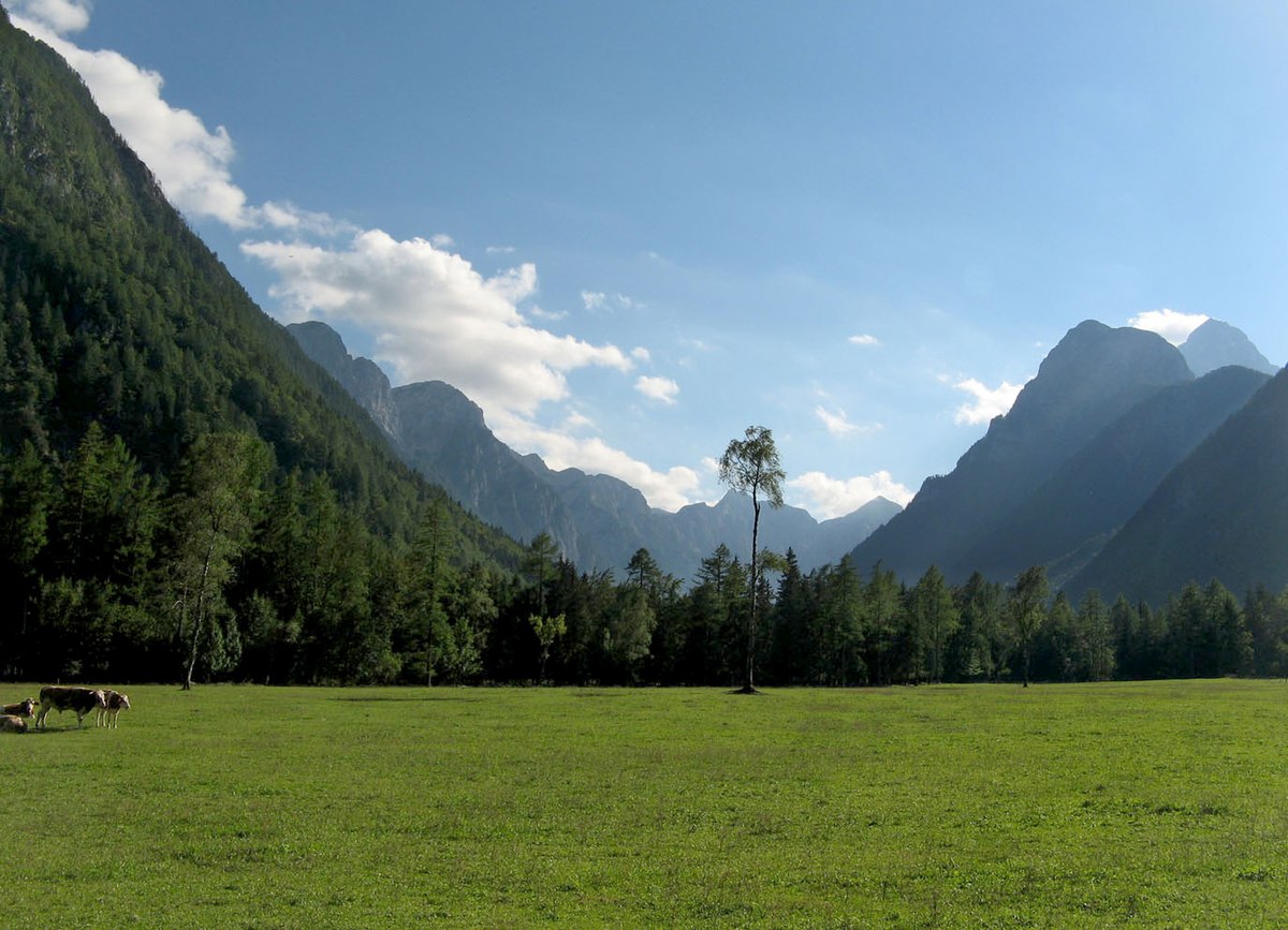 Radovna Valley - Wikipedia