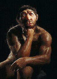 Neandertaler in der Dauerausstellung Paläolithikum