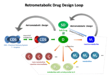 Retrometabolic drug design loop that includes chemical delivery systems (CDS) design and soft drug (SD) design. Possible metabolic pathways for drugs (D) in general are indicated within the dashed box. Retrometabolic Drug Design loop.gif