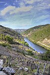 Ribeira Sacra