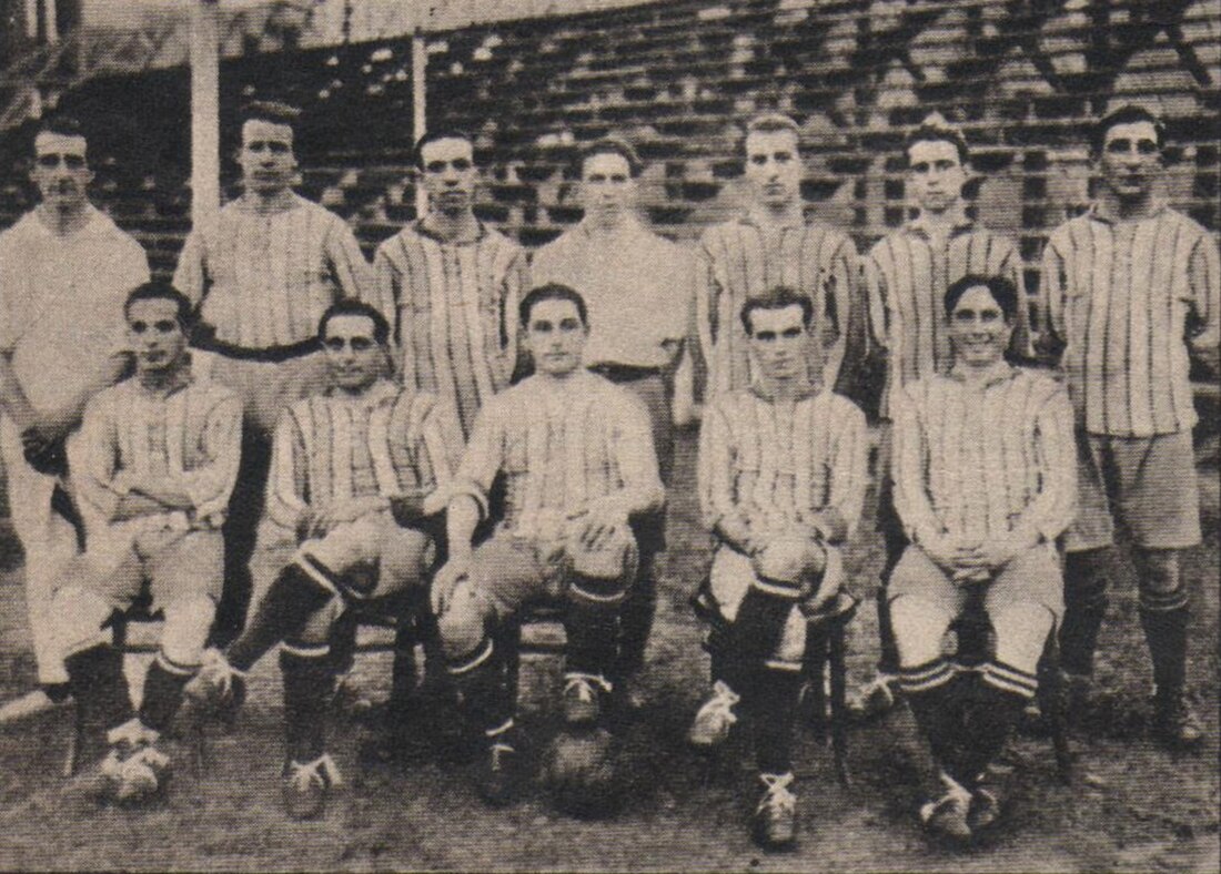 Campeonato de Primera División 1920 de la AAmF (Argentina)