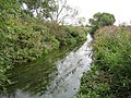 River Crouch - geograph.org.uk - 227057.jpg