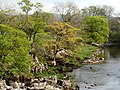 Thumbnail for File:River Wharfe at Linton Falls - geograph.org.uk - 3959678.jpg